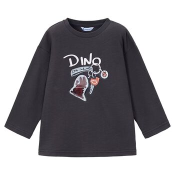 Boys Grey Dino Long Sleeve Top