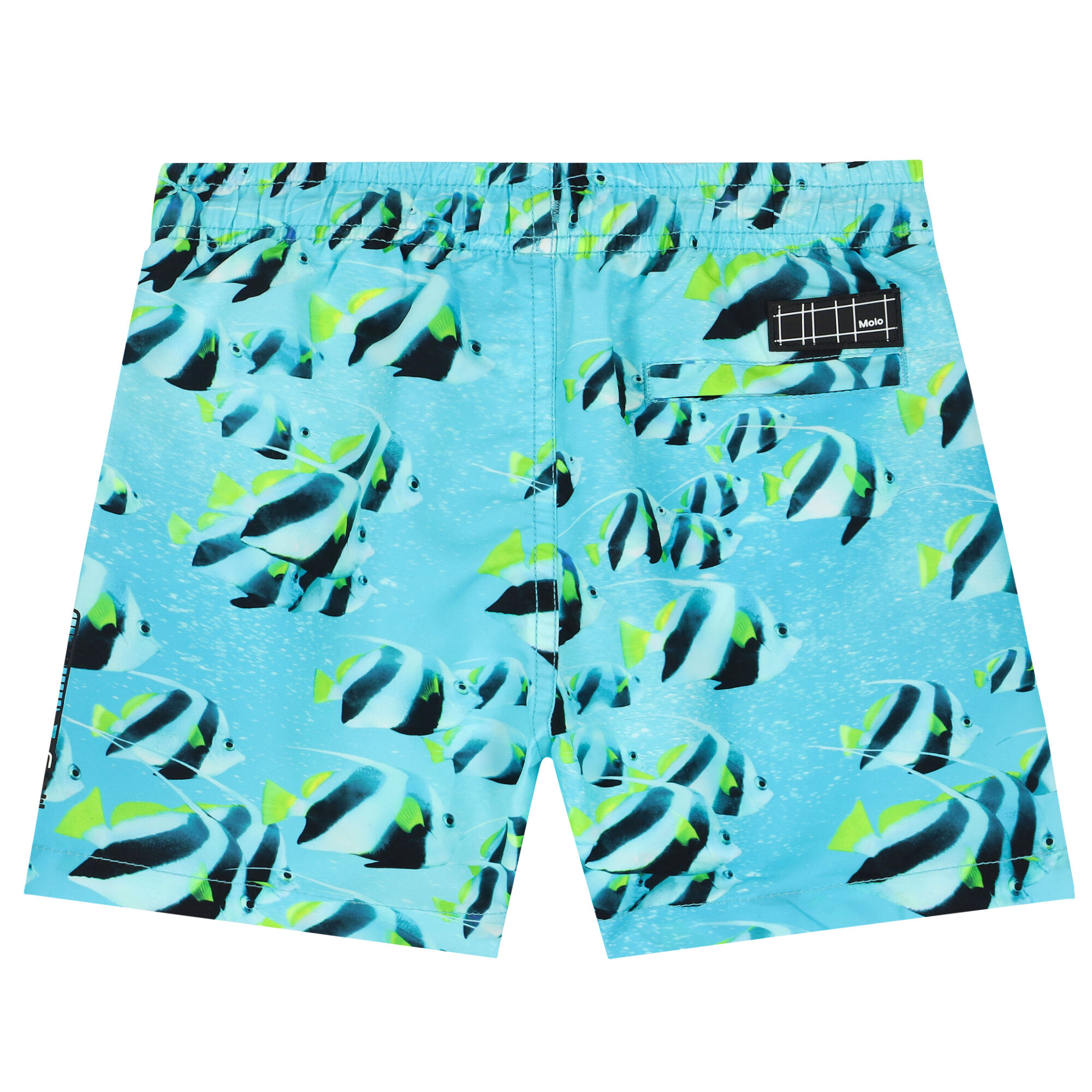 MOLO Boys Blue Fish Swim Shorts Junior Couture UK