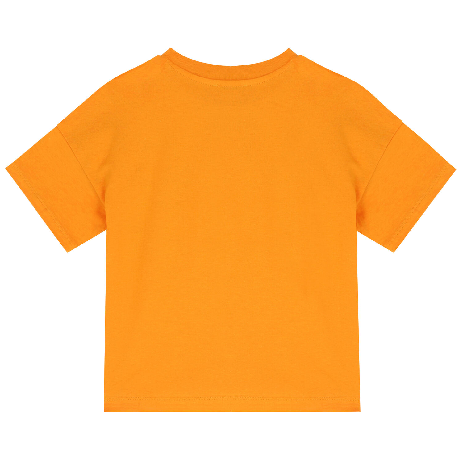Boys Orange Tiger T-Shirt, 1, hi-res