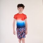 Boys Multi-Coloured Swim Shorts, 1, hi-res