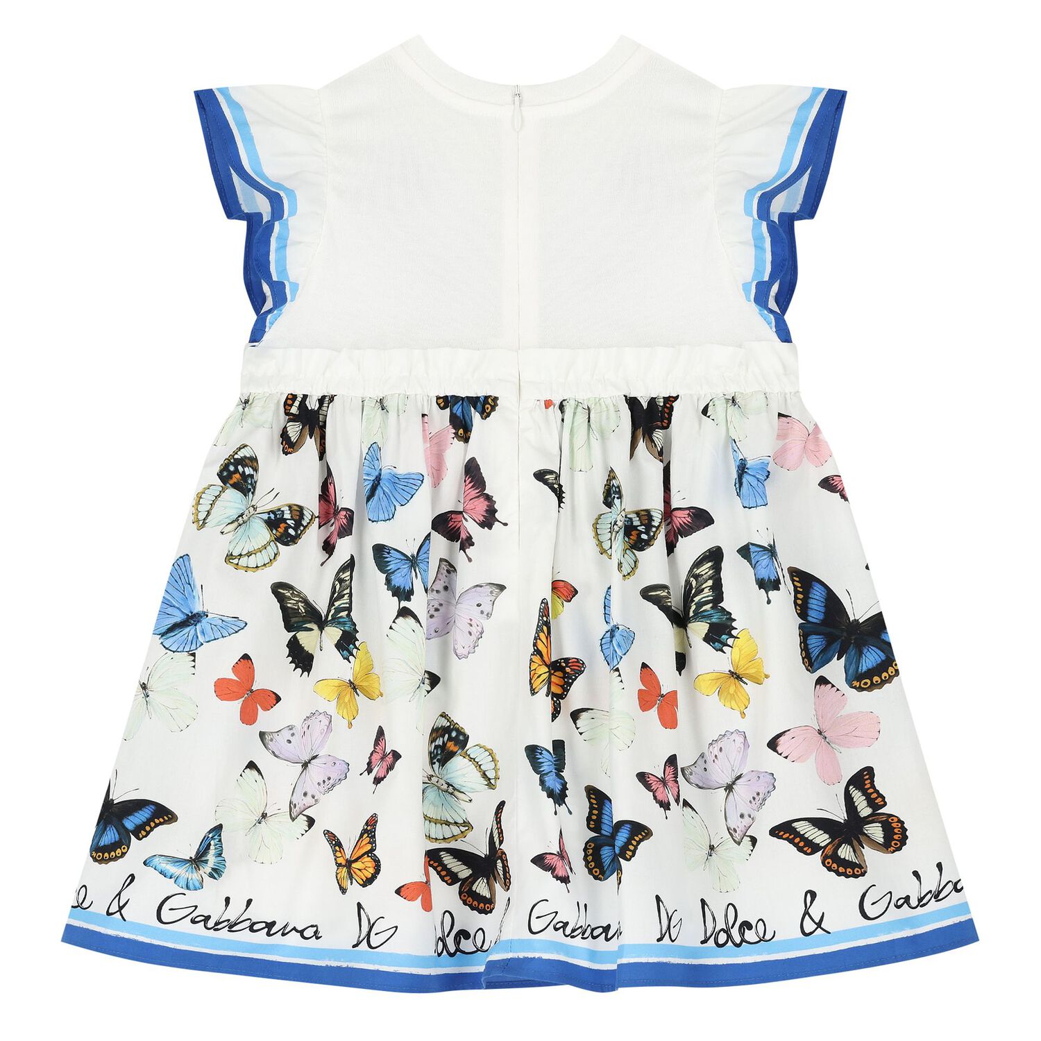 Younger Girls White & Blue Poplin Butterfly Print Dress, 1, hi-res