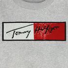 Girls Grey Logo Sweatshirt, 1, hi-res