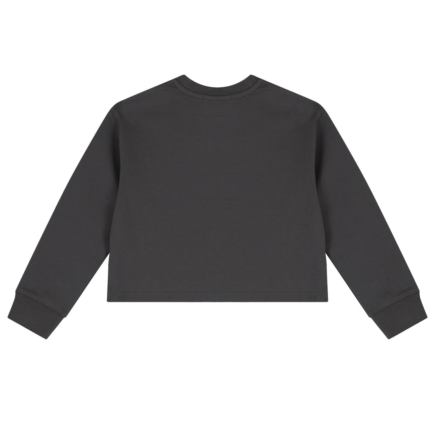 Girls Grey Logo Sweatshirt, 1, hi-res image number null