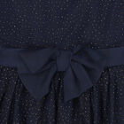 Girls Navy Blue & Gold Glitter Tulle Dress, 1, hi-res