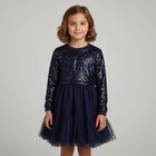 Girls Navy Blue Embellished Tulle Dress, 1, hi-res