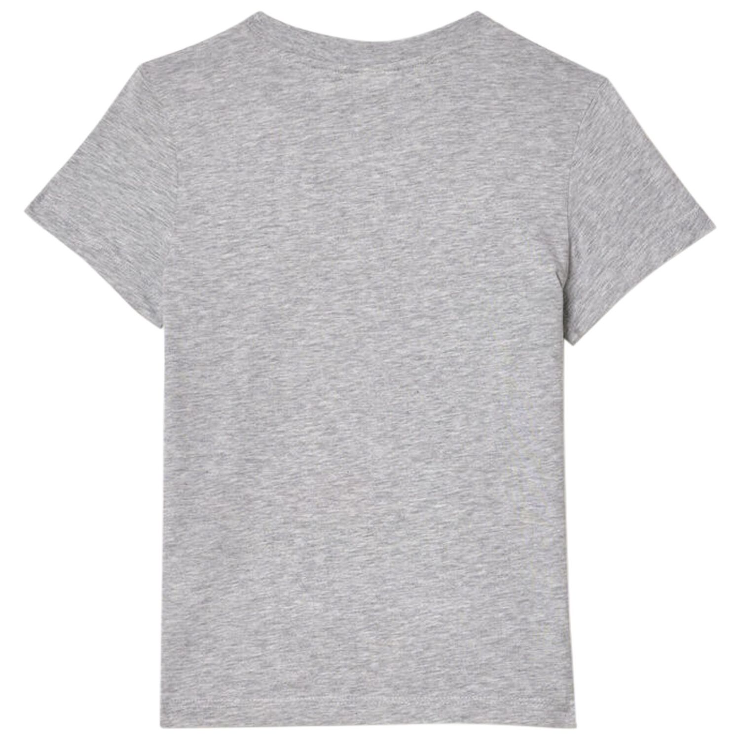 Boys Grey Logo T-Shirt, 1, hi-res