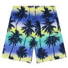 Boys Blue & Yellow Palm Tree Swim Shorts, 1, hi-res