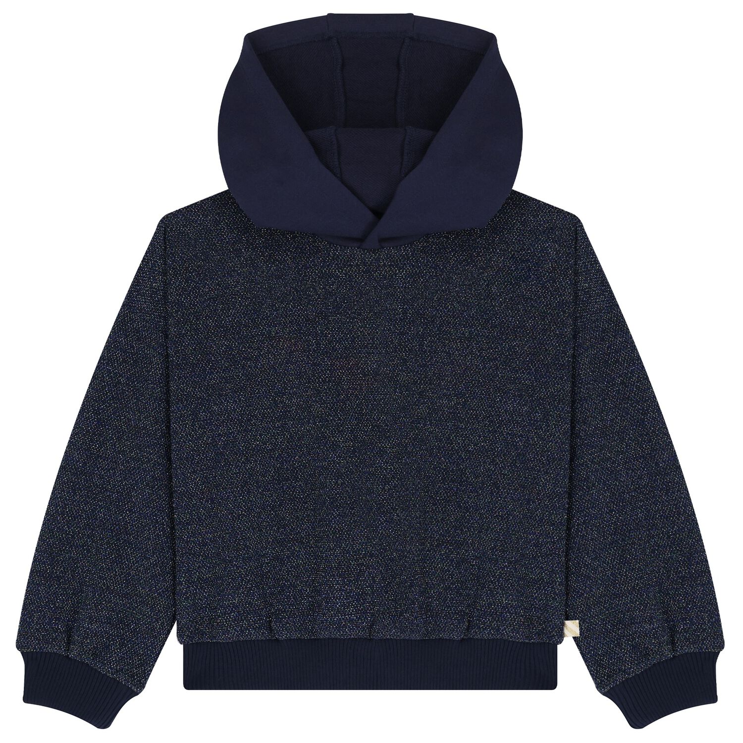 Girls Navy Blue Hooded Top, 1, hi-res image number null