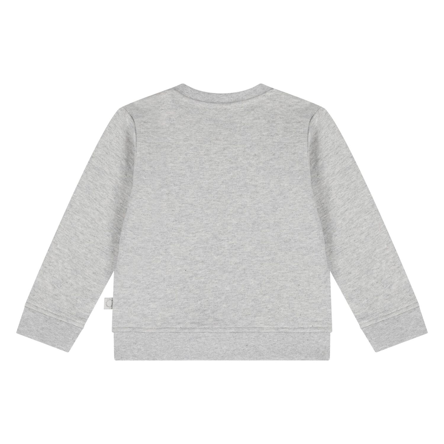 Younger Boys Grey Squirrel Sweatshirt, 1, hi-res