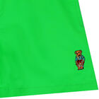 Boys Green Polo Bear Swim Shorts, 1, hi-res