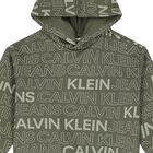 Boys Green Logo Hooded Top, 1, hi-res