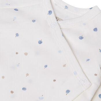 Baby Boys Ivory & Blue Babygrow Gift Set
