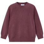 Boys Burgundy Knitted Jumper, 2, hi-res