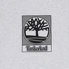 Boys Grey Logo T-Shirt, 2, hi-res