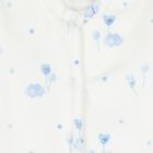 Baby Boys Ivory & Blue Balloon Babygrow, 2, hi-res