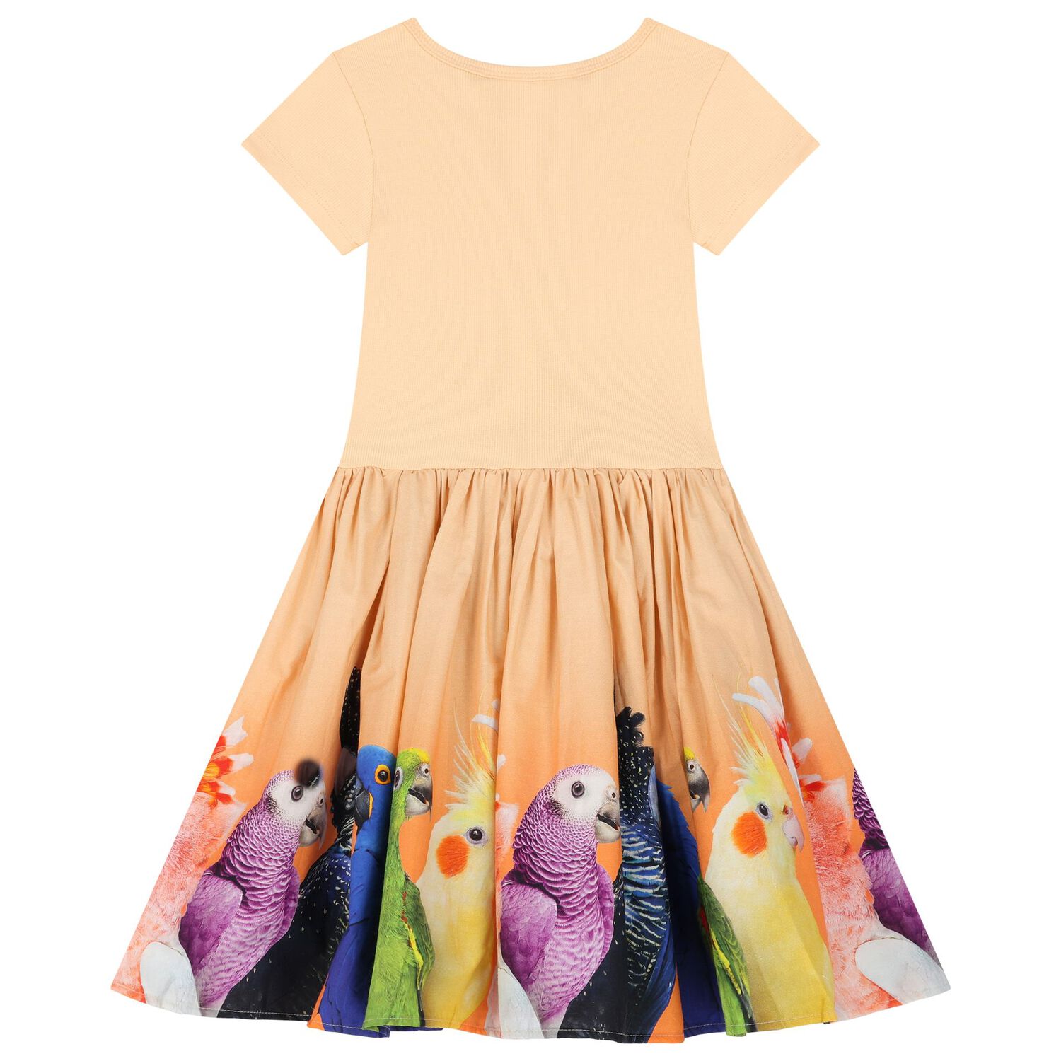 Girls Orange Parrot Dress, 1, hi-res image number null