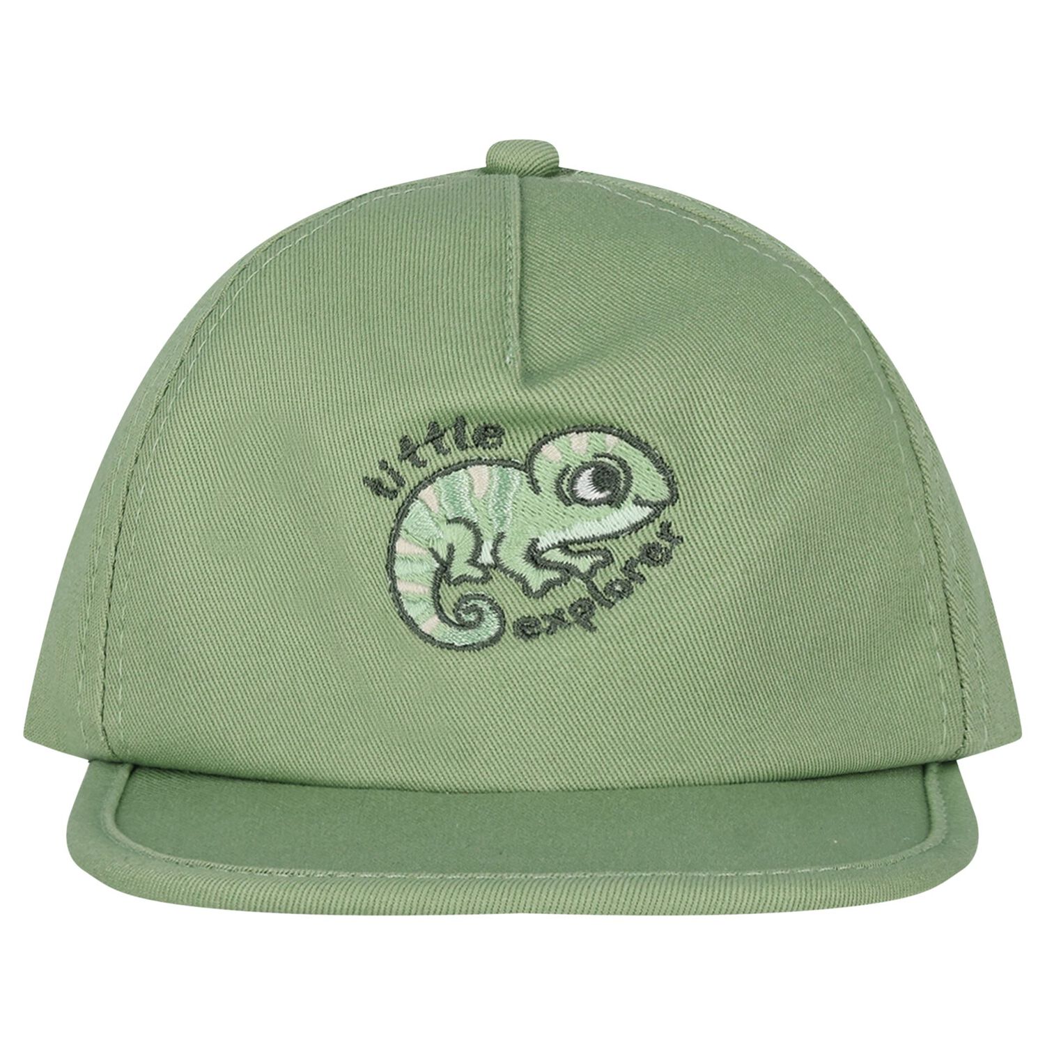 Younger Boys Green Chameleon Cap, 1, hi-res
