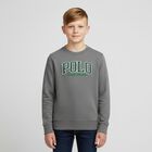 Boys Grey Logo Sweatshirt, 1, hi-res