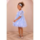 Girls Blue Embellished Tulle Dress, 2, hi-res