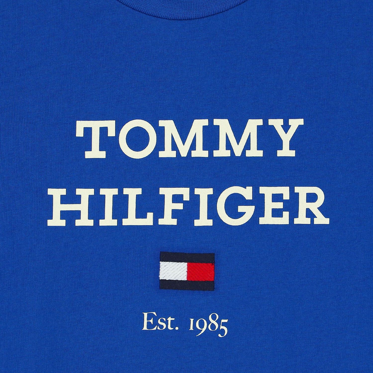 Boys Blue  Logo T-Shirt, 1, hi-res image number null