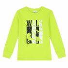 Boys Neon Green Long Sleeve Top, 1, hi-res
