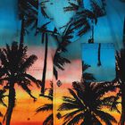 Boys Orange & Blue Palm Tree Shirt, 1, hi-res