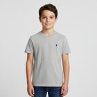 Boys Grey Logo T-Shirt, 1, hi-res