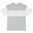 Boys Grey Logo T-Shirt, 2, hi-res
