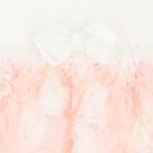 Baby Girls Ivory & Pink Roses Tulle Dress, 2, hi-res