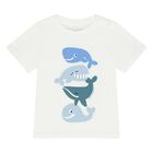Younger Boys White Whales T-Shirt, 1, hi-res