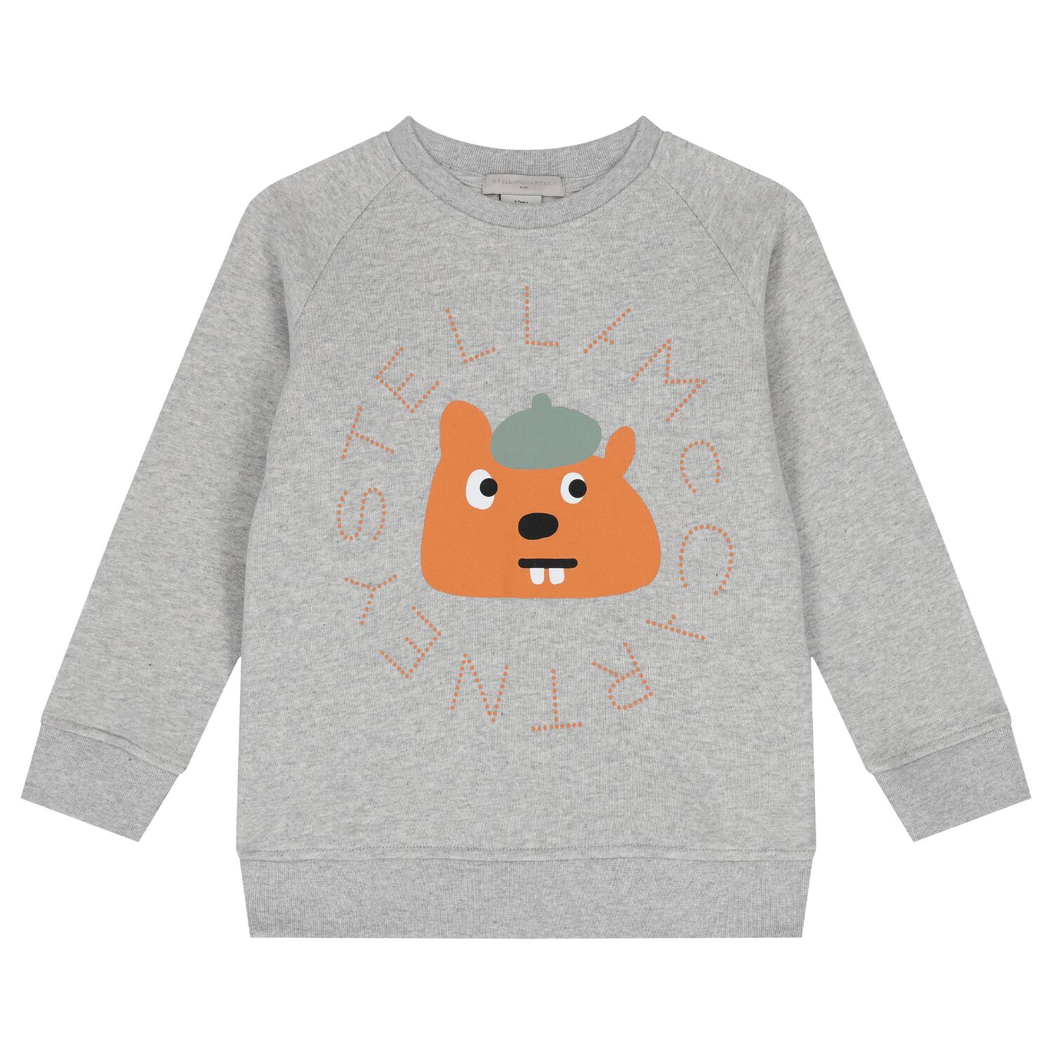 Boys Grey Squirrel Sweatshirt, 1, hi-res