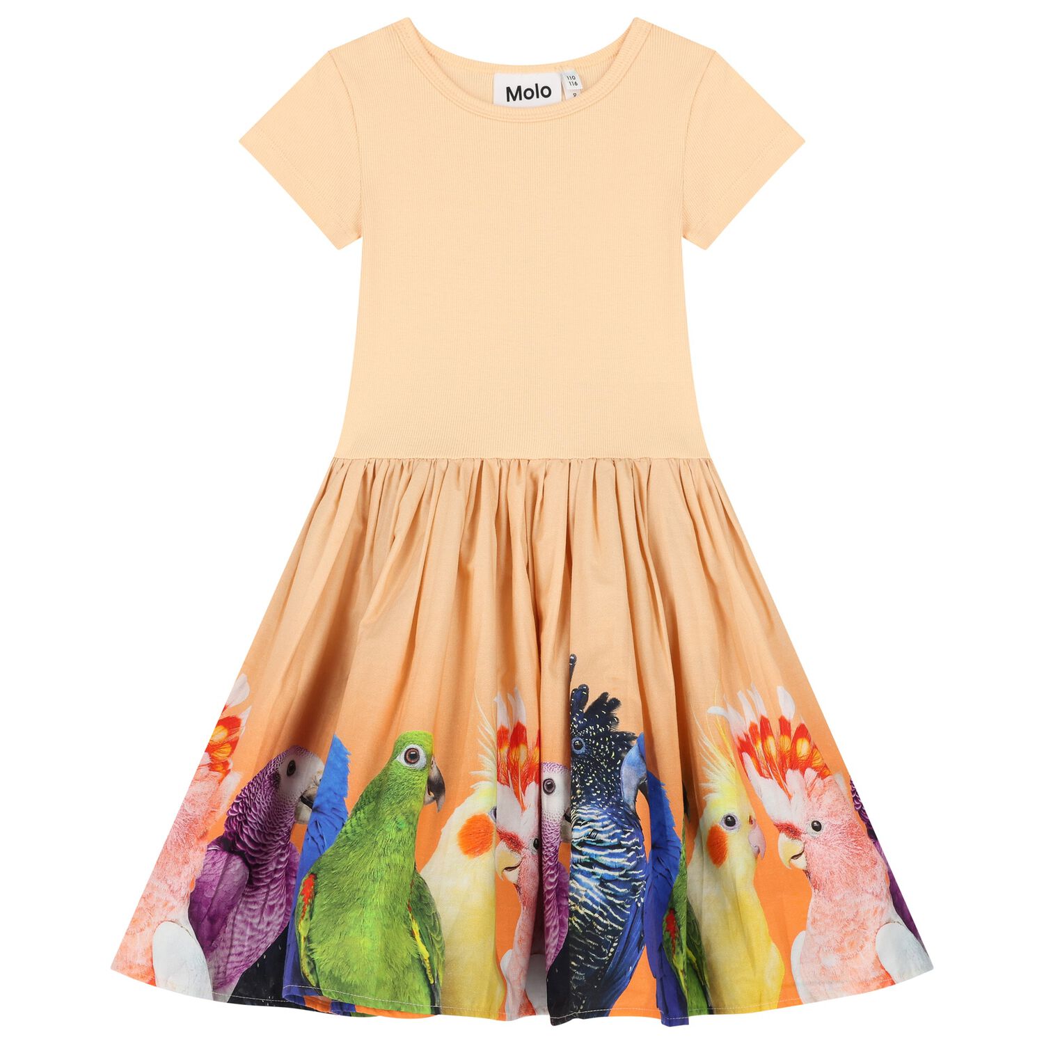Girls Orange Parrot Dress, 1, hi-res image number null