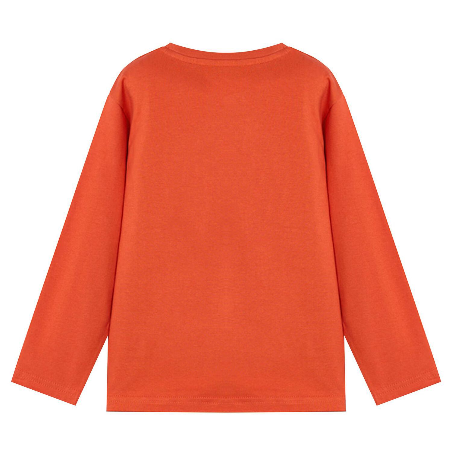 Boys Orange Long Sleeve Top, 1, hi-res