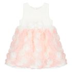 Baby Girls Ivory & Pink Roses Tulle Dress, 2, hi-res