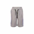 Boys Grey Logo Stripe Shorts, 1, hi-res
