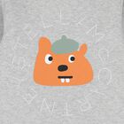 Younger Boys Grey Squirrel Sweatshirt, 1, hi-res