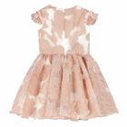 Girls Pink & Gold Organza Dress, 1, hi-res