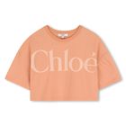 Girls Mini Me Orange Logo T-Shirt, 2, hi-res