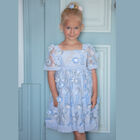 Girls Blue Embroidered Tulle Dress, 2, hi-res
