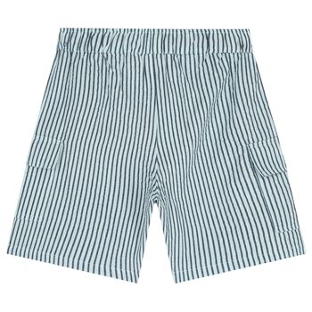 Boys Blue Striped Shorts