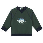 Baby Boys Green Dinosaur Sweatshirt, 1, hi-res