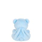 Palm Pals Blue Benny Baby Bear Soft Toy ( 13cm ), 1, hi-res