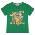 Boys Green & Grey Ninja Turtles Pyjamas, 1, hi-res