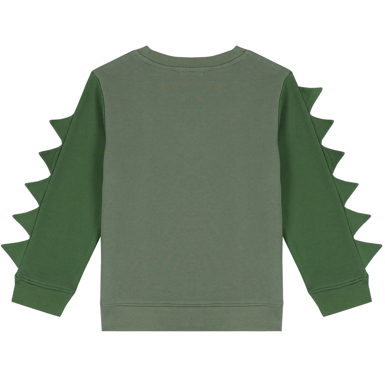 Boys Green Chameleon Sweatshirt, 1, hi-res