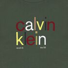 Boys Green Logo T-Shirt, 2, hi-res