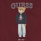 Boys Burgundy Teddy Bear Logo Sweatshirt, 2, hi-res