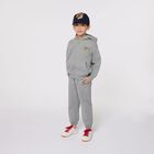 Boys Grey Tiger Logo Tracksuit, 1, hi-res