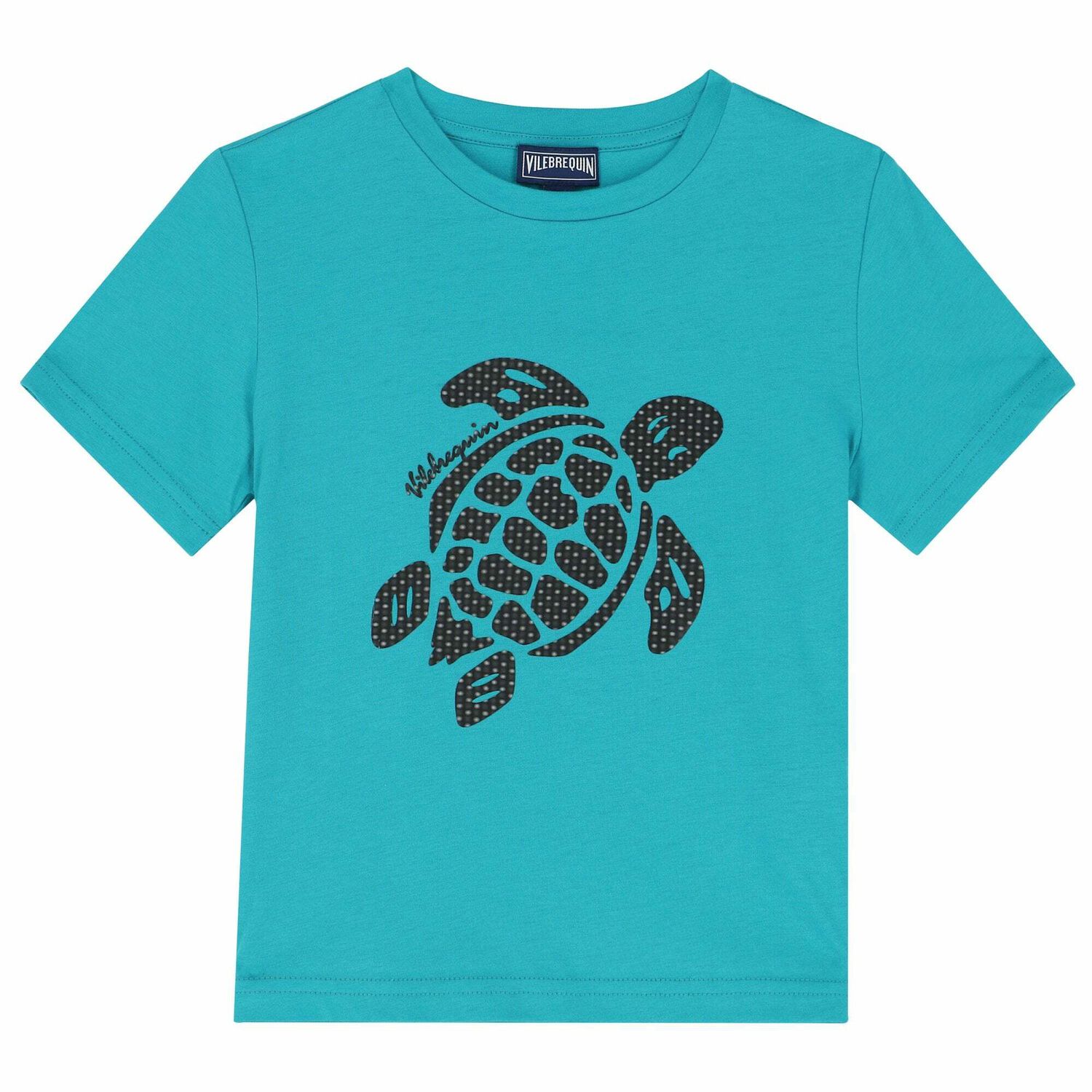 Boys Blue Turtle T-Shirt, 2, hi-res image number null