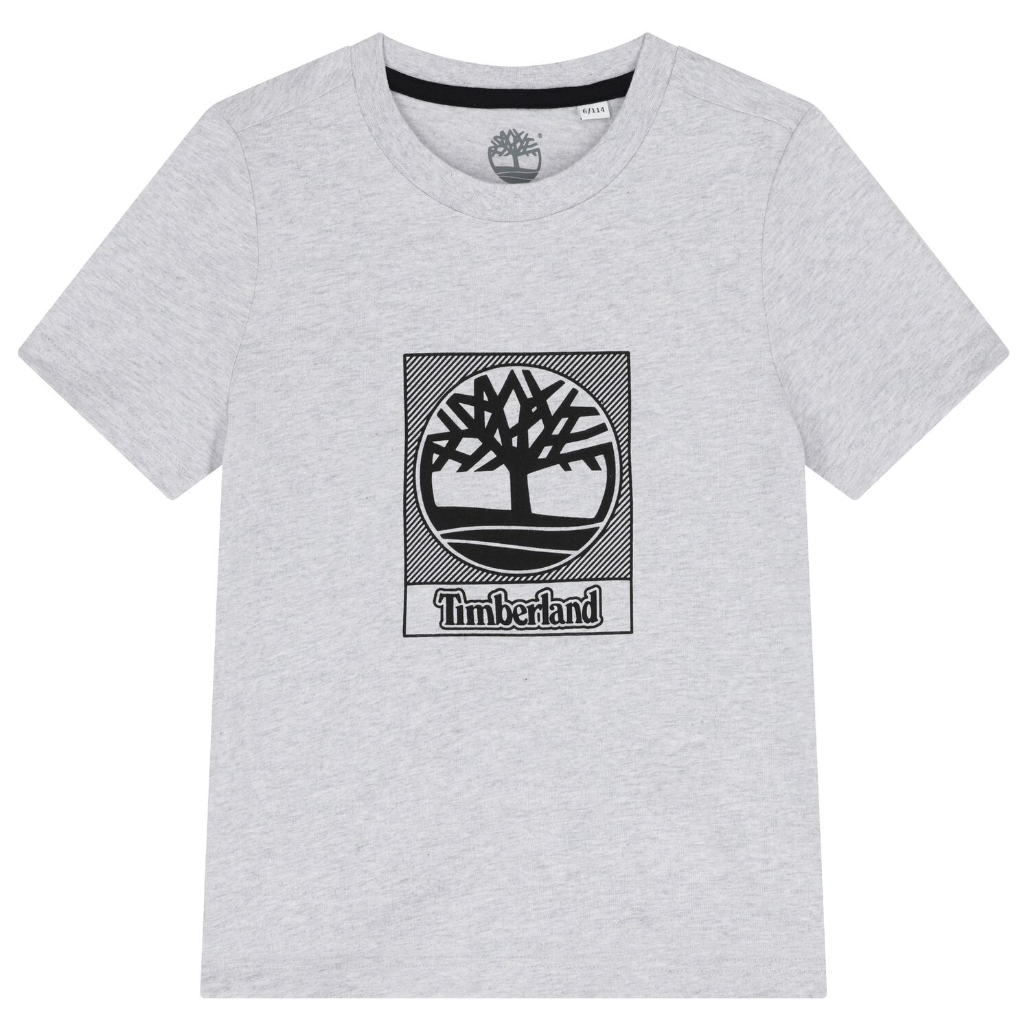 Boys Grey Logo T-Shirt, 2, hi-res