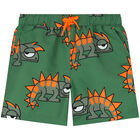 Boys Green Chameleon Swim Shorts, 1, hi-res